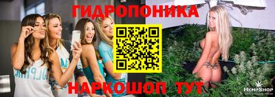 спиды Малгобек