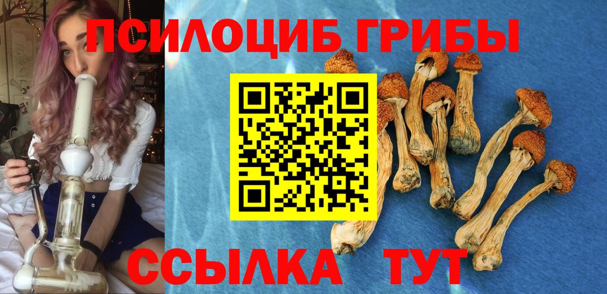Галлюциногенные грибы GOLDEN TEACHER Феодосия
