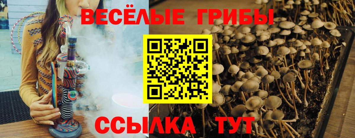 Феодосия  Галлюциногенные грибы Cubensis  Вход с VPN 